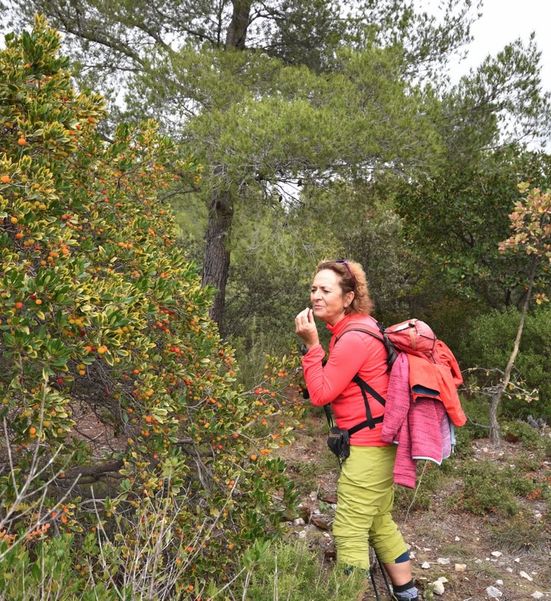 Gruppo di escursionisti con Marina