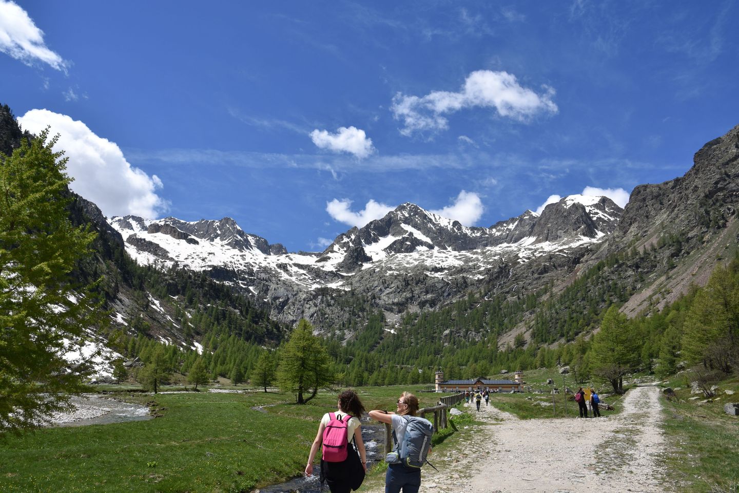 Valle Gesso in cammino verso il rifugio Valasco